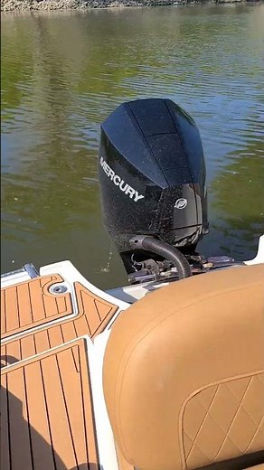 1st Start Up! Mercury 200 HP V6 4 Stroke! 2023!