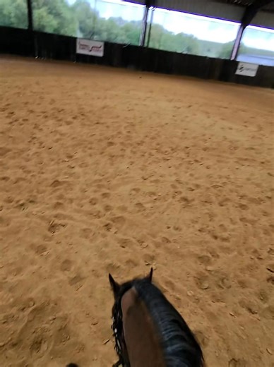 98K views · 3.3K reactions | These Meta glasses are pretty cool. Ride along with me while I start teaching Dude how to spin | Matt Mills Reining | Facebook