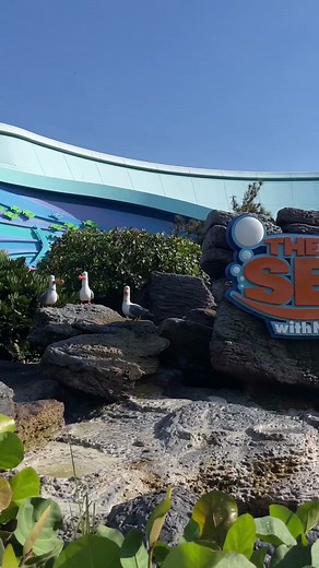 We’re seeing double 👀 Visit these familiar faces at The Seas with Nemo and Friends in #EPCOT! #WaltDisneyWorldResort #DisneyParks #FindingNemo