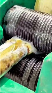 Sugar Cane Milling Process for Nira Water Extraction #shorts