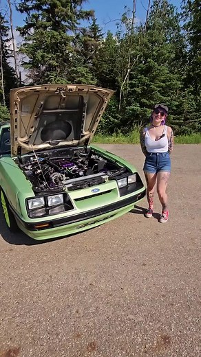 feel free to use this for everything