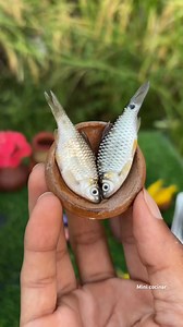 Mini kitchen 😋 fish fry | Mini Kitchen