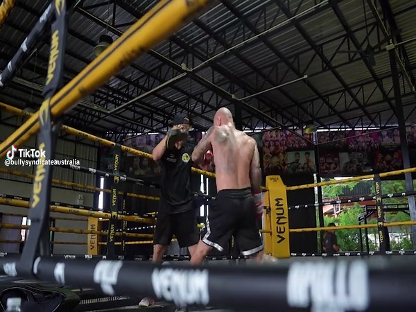 bullysyndicateaustralia on TikTok