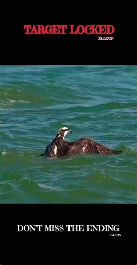 Deadly Falcon Strike – How Falcons Hunt Their Prey -#PeregrineFalcon #BirdHunting #Wildlife #Animals