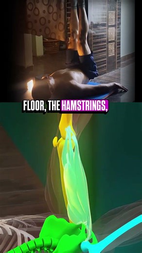 Stop Stretching Your Hamstrings Like This (Do This Instead)