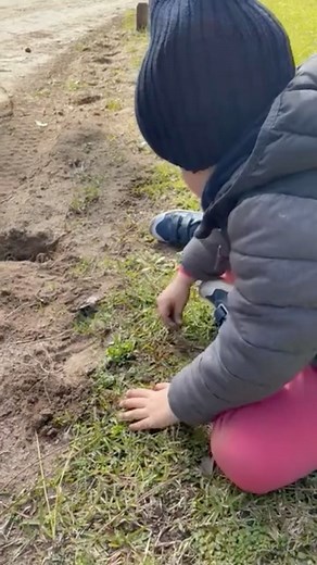 Mirko on Instagram: "Y con cine incluido #mirko"