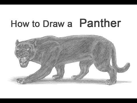 How to Draw a Black Panther