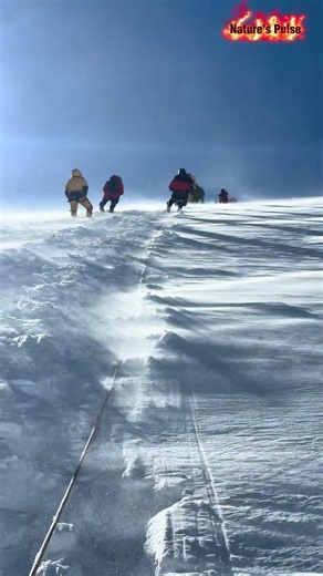 Trusting the rope on a terrifyingly steep mountain face 🥶🏔️ #climbing #scary