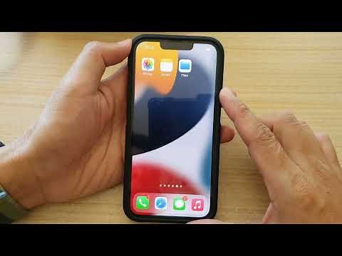 iPhone 13/13 Pro: How to Add Pictures to an Album