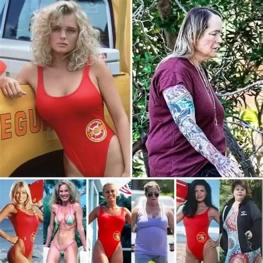 "The Current Activities of These Former 'Baywatch' Lifeguards.. Details in comment 👇👇" | Movies Fans