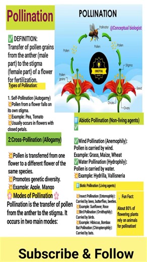 Pollination 💥🤯 | infographic 3-D 💥🥰 | #biology #biologyshorts #education #subscribe #biologyquiz