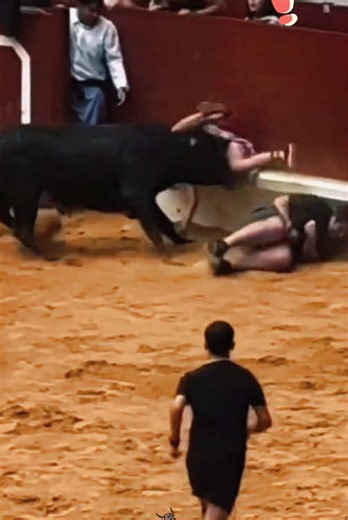 Epic Bullfighting Compilation: Relentless Arena Action! #funny #crazy #bullfighting #extremesport #fight