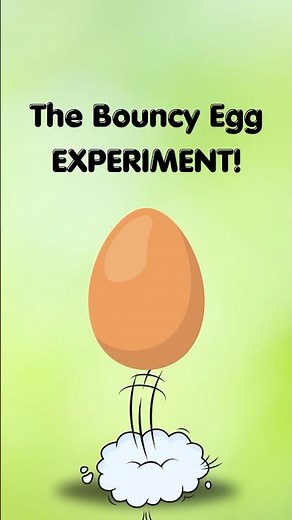 The Bouncy Egg Experiment! #scienceexperiment