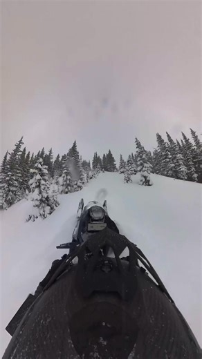 November 20th-2024. Ripping logging roads, playing A-arm roulette in the trees and just stoked. Early season riding is my favorite. Getting so close! Ski-Doo #winteriscoming #mountains #snowmobile | Jeremy Mercier