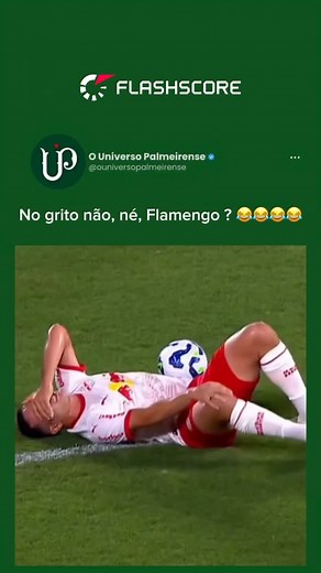 Não tomou nem cartão 😂😂😂😂😂😂😂😂 Baixe o app da 👉 @flashscore.br e fique por dentro de tudo que rola nos jogos do Palmeiras! 🐷💚 | O Universo Palmeirense
