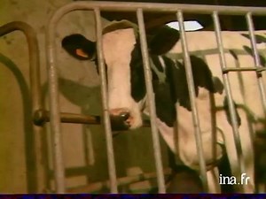 L'agriculture bretonne et l'Europe