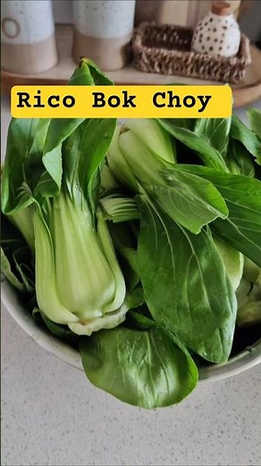 Bok Choy con salsa marrón | Receta Fácil y Rápida