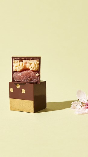 Dandelion Chocolate on Instagram: "Last year our confections team spent months perfecting recipes for our Hanami Spring Bonbon collection. After many trials they came up with five exquisite and fresh bonbon flavors. This year that collection will be returning, and we asked Dillon, our head chocolatier, to explain to us part of the process for one of those flavors (demonstrated here by Shelby): “Our upcoming Hanami collection contains a component called Shiroan, or white bean paste. The process o