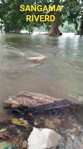 Sangama river #reels #adventure