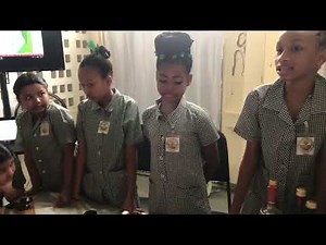 Science Fair 2023 -Georgetown 🇬🇾