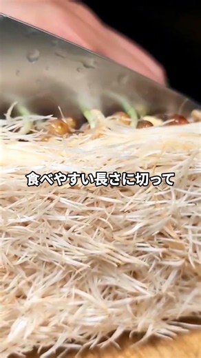 ※豆苗、ただ混ぜないでください」ある黄金比で青臭さが消えて旨味が限界突破する、悪魔の旨シャキサラダがヤバすぎた #ショート動画 #料理 #レシピ