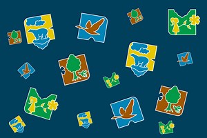 Biodiversity Day Activities