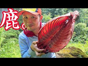 鹿を捕まえて野生のサラマンダーで焼く！ #ジビエ#鹿肉#料理