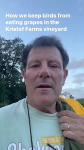 15K views · 347 reactions | Behind the scenes: Here’s how we keep birds from eating grapes at the Kristof Farms vineyard! | Nicholas Kristof | Facebook