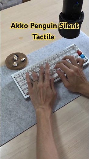 Akko Penguin Silent Tactile Switch - A Budget Silent Tactile Switch Ever #mechanicalkeyboard