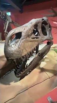 Torvosaurus: Jurassic Apex Predator