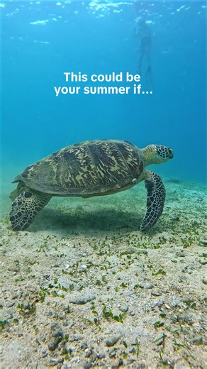 Freediving Basics in Manila: A Day at the Pool