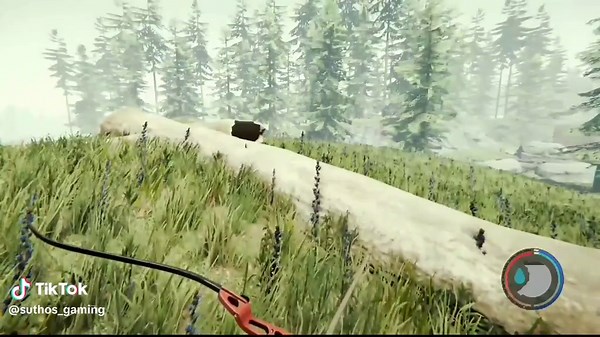 Exploring The Forest: Gameplay and Survival Tips