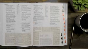 CSB Bibles by Holman