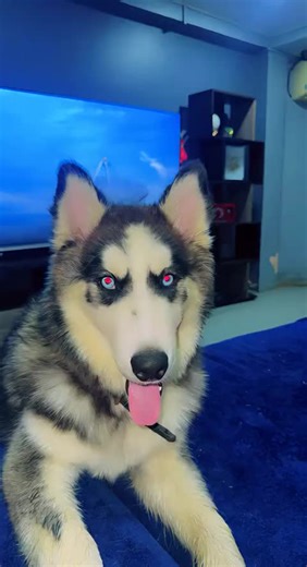 Fat Boy's Energetic Dance Moves