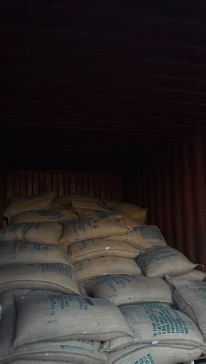 Decaf deserves better! For years, we’ve sourced, roasted, and served exceptional coffee — and now, we’ve brought the same care to the decaffeination process. We’ve moved from Germany to Houston Texas, partnering with a family-run facility that shares our commitment to craftsmanship and transparency. The result? A cleaner, more consistent cup, and a shorter journey from farm to roastery☕️ | Afficionado Coffee Roasters