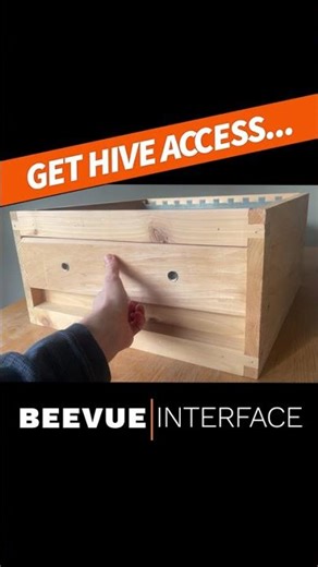 See Inside Your Hive Without Opening It! 🐝 BeeVue Inspection