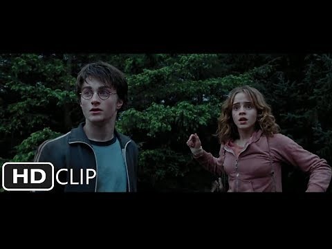 Harry and Hermione Save Buckbeak | Harry Potter and the Prisoner of Azkaban