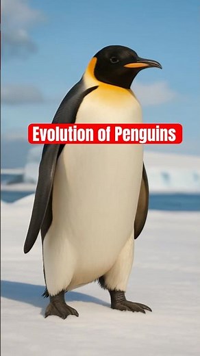 Evolution of Penguins 🐧! In 60 seconds!