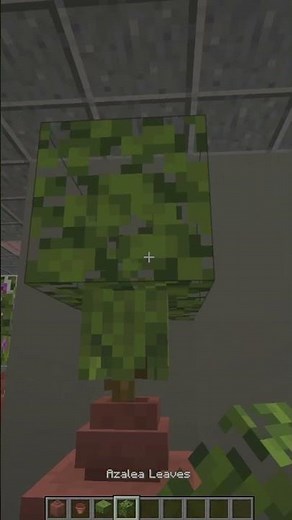 Azalea Flower pot in Minecraft #shorts #minecraft