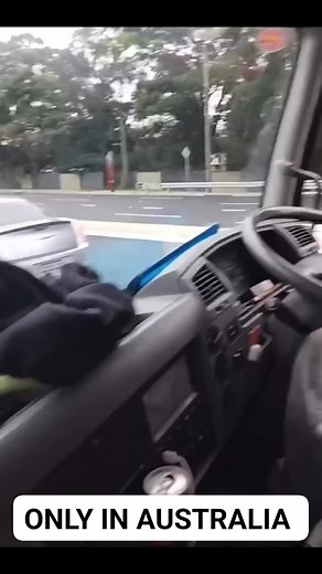 1.1M views · 6K reactions | Only in Australia #fyp #fypシ゚viralシ #viralreels #fbreels #reels2025 #reelsvideo #reelsfb #reelsviral #fypシ゚viral #foryoupage #foryou #instalike #instagood #reels #reels2024 #instagood #reels #reelsinstagram #australia #aussie #onlyinaustralia | Lolpedia | Facebook