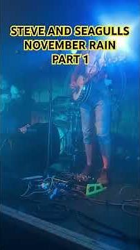Steve N seagulls ‘November rain’ part 1 #stevenseagulls #novemberrain #livemusic