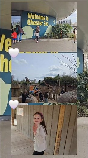Chester Zoo Vlog 🦒🐧(Best Day Ever!) #shorts