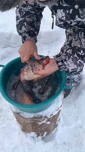 Crucian carp soup #pandasakha #cooking | Pandasakha