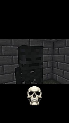 Slendrina VS Wither Skeleton 💀