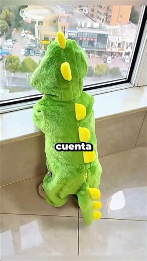 Estos perros tienen ropa a juego ❤️