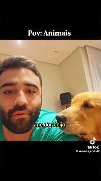 tente não rir várias coisas