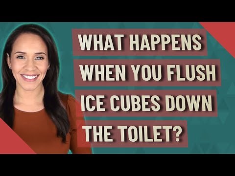 What happens when you flush ice cubes down the toilet?