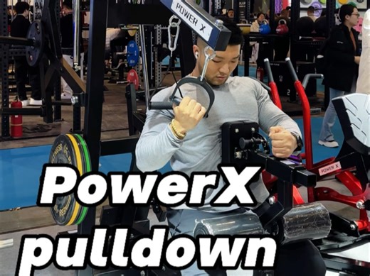 powerX三挂片高拉背 plate loaded pulldown machine