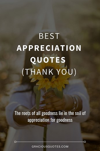 Top 77 Best Appreciation Quotes (THANK YOU)