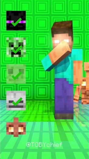 Herobrine Accepts Monsters but Rejects TOBY🤣😎 | #minecraft #shorts #minecraftmeme